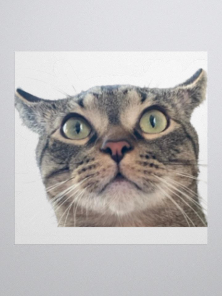 Luke Sticker product image (1)