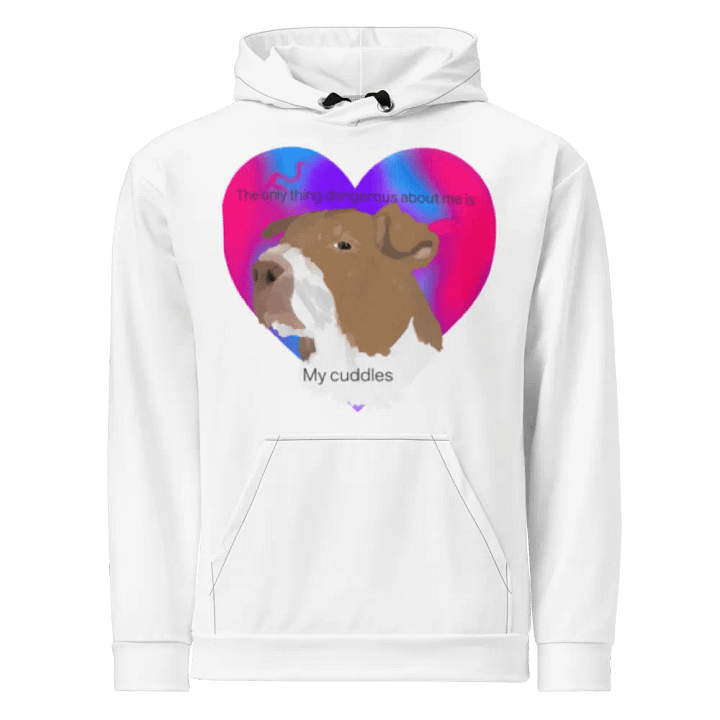 jade hoodie product image (1)