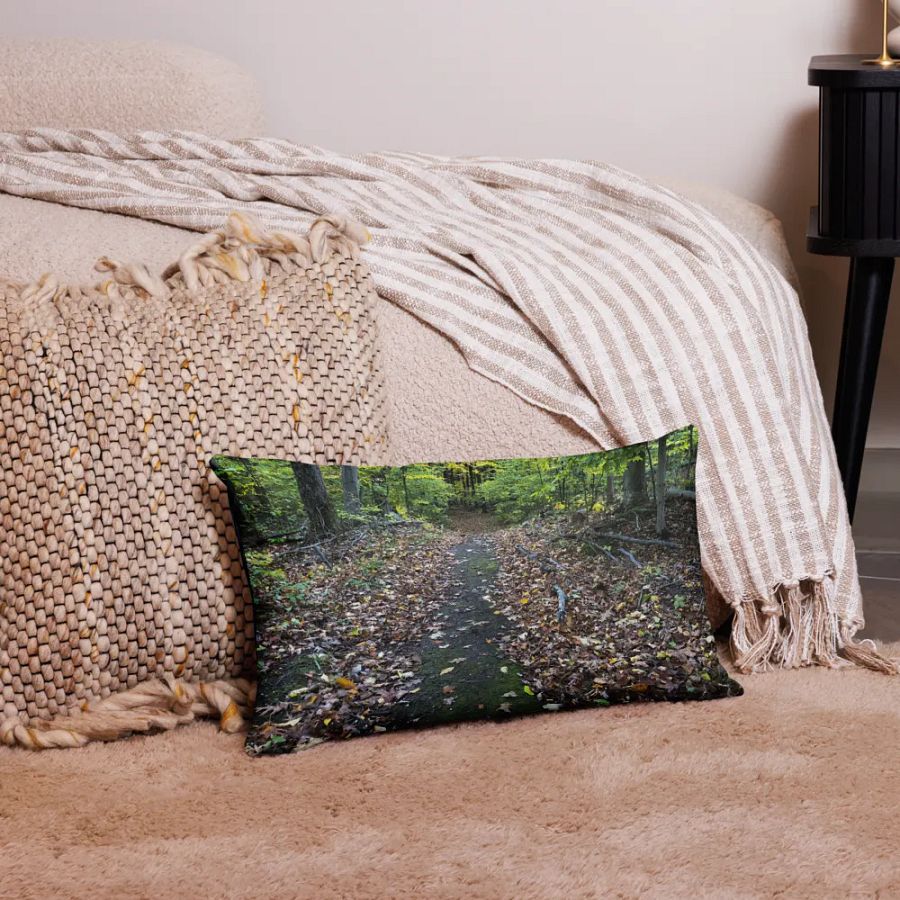 Fall Trail Pillow product image (9)