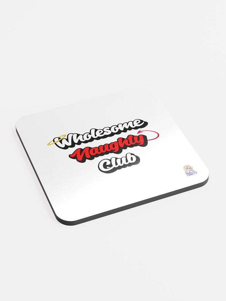 Wholesome Naughty coasters product image (2)
