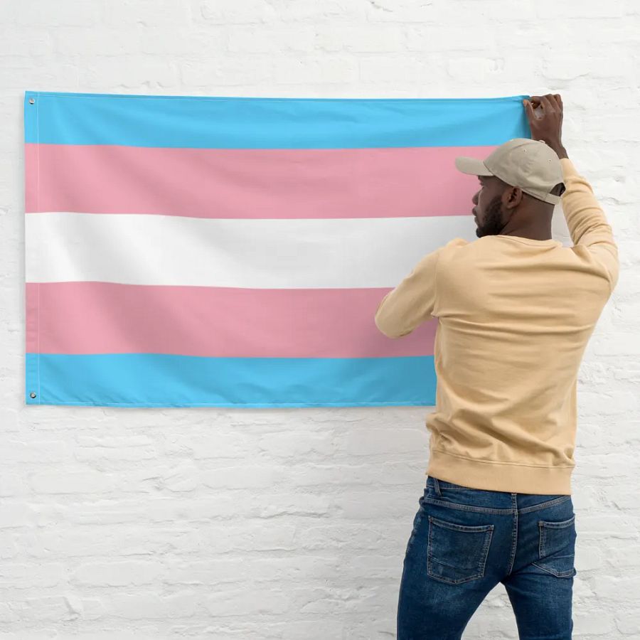 Transgender Flag product image (11)