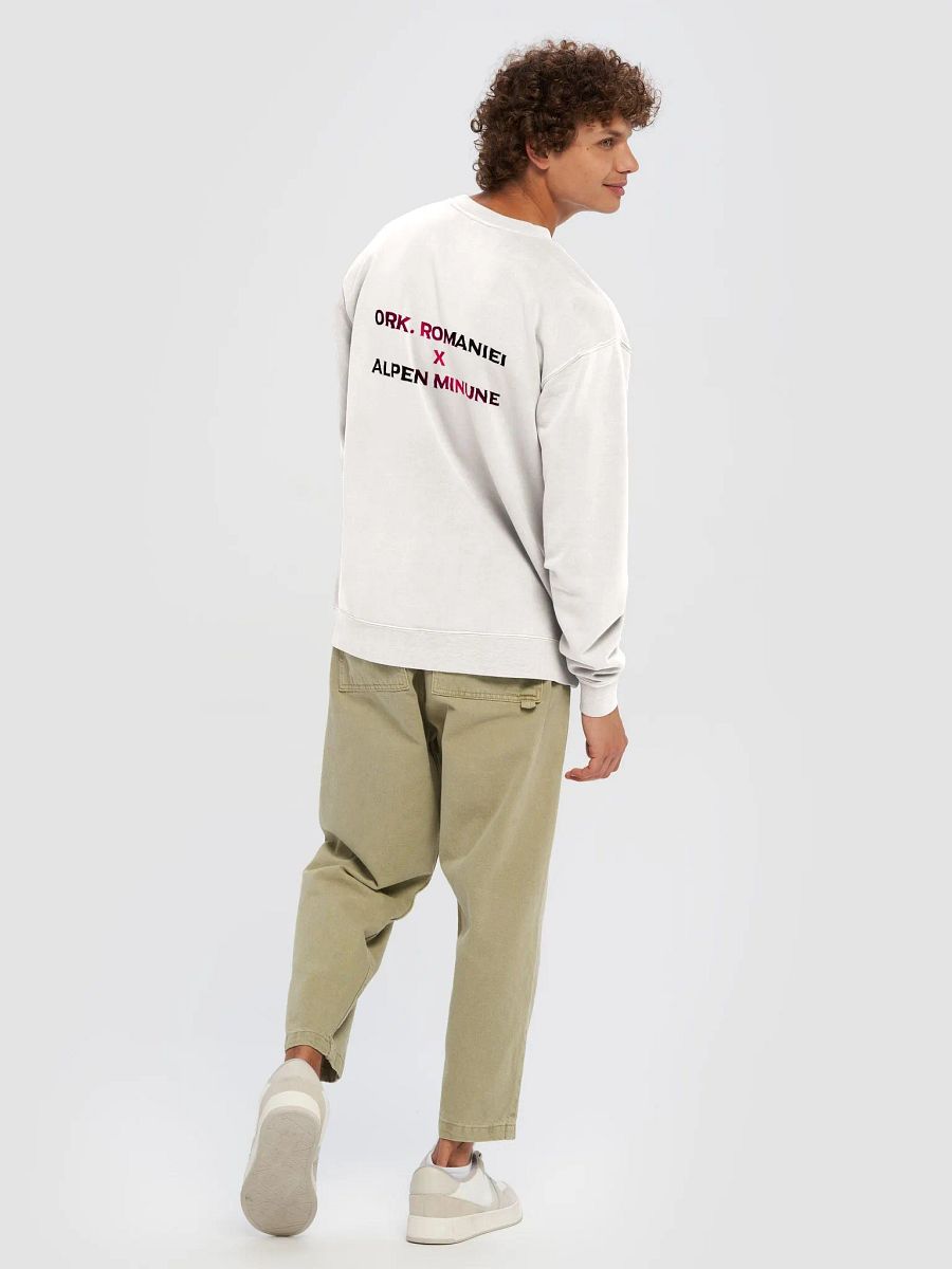 Premium Sweatshirt V2 Bej Ork. Romaniei x Alpen product image (3)