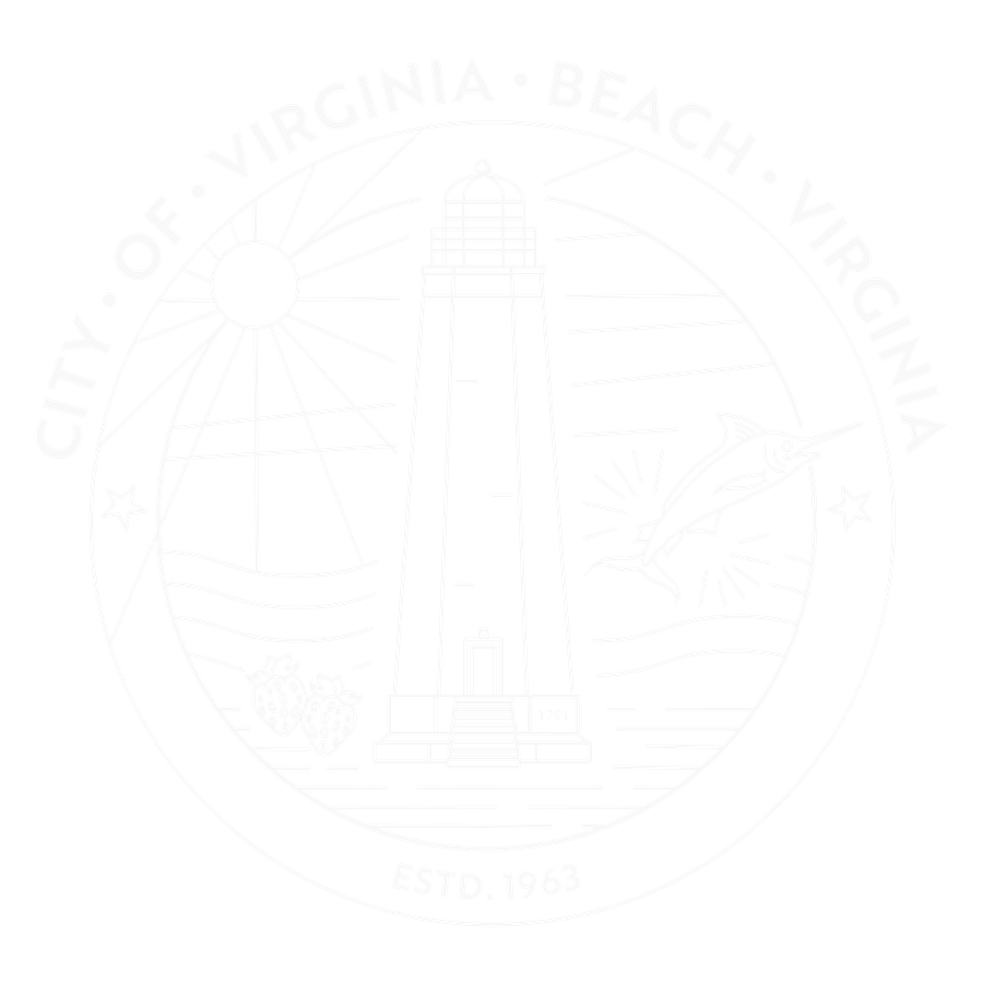 Virginia Beach Modern City Seal Tee - organic cotton product image (6)