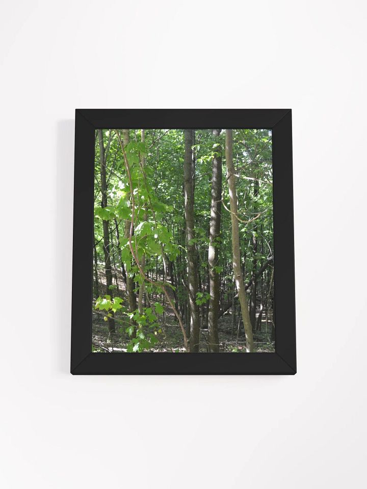 Forest High Quality Matte Poster product image (1)