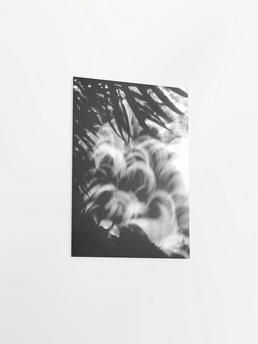 Crescents of Light from the Eclipse - Poster 3 product image (30)