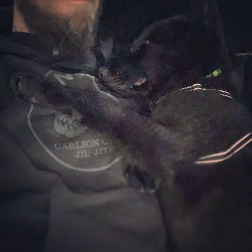 Some has decided i make for a good nap spot..
.

Https://twitch.tv/doodnuffin 
.
.
.
#twitch #twitchstream #gamerbjj  #dndown...