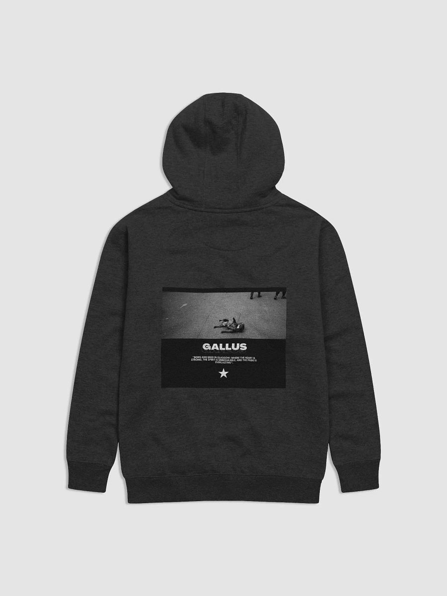 Gallus Hoodies product image (1)