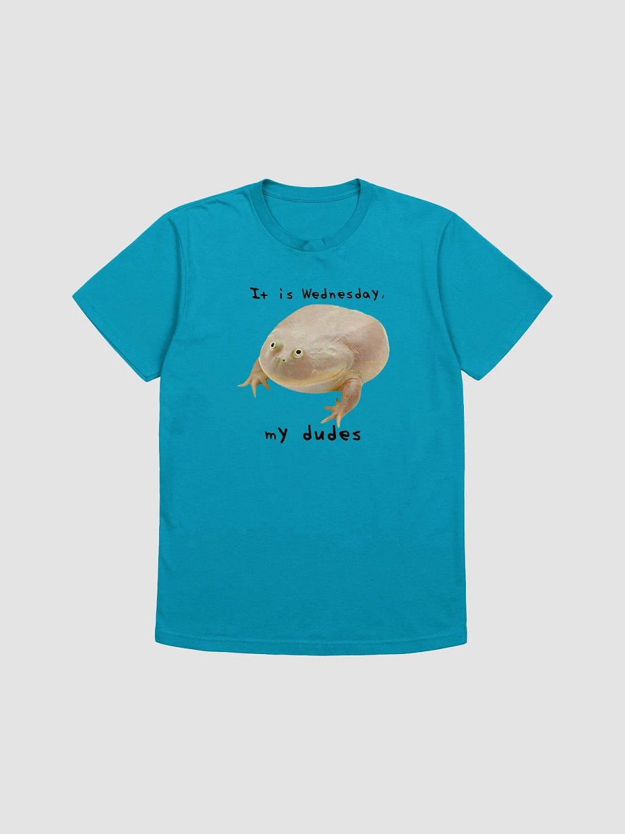 Wednesday Frog Tee (Supersoft) product image (55)