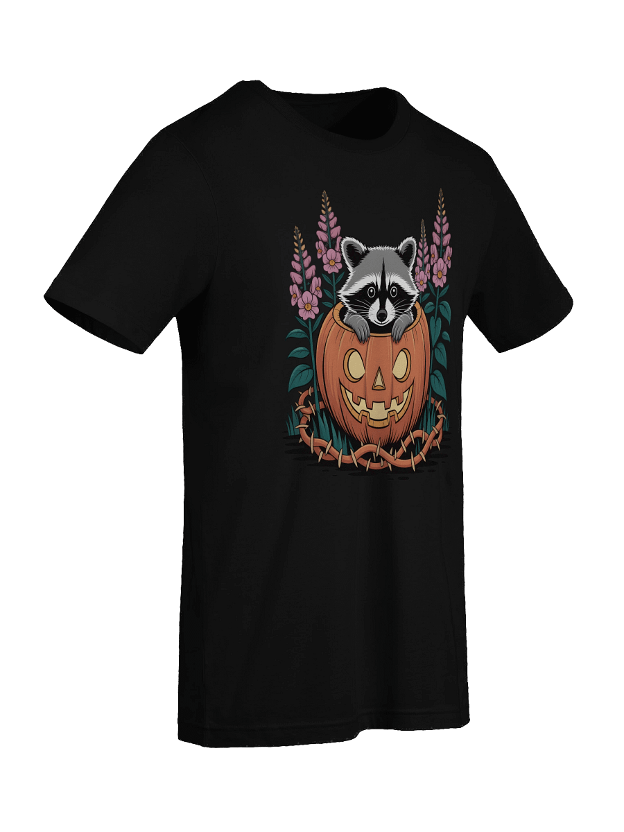 Whimsical Raccoon & Pumpkin Tee product image (35)