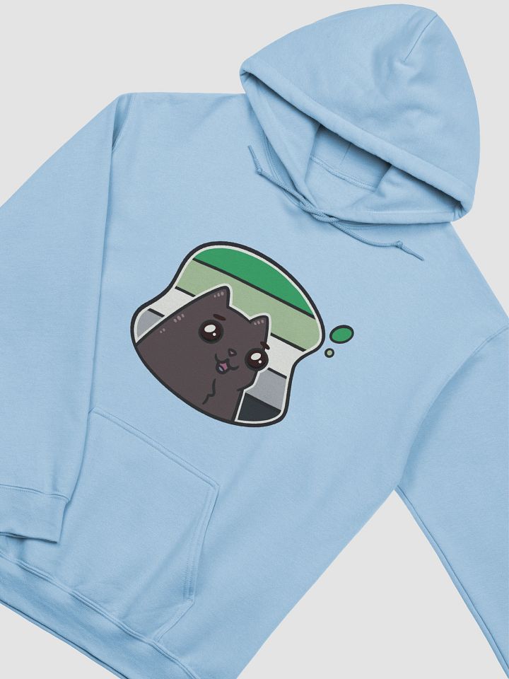 hoodie : void aro product image (37)