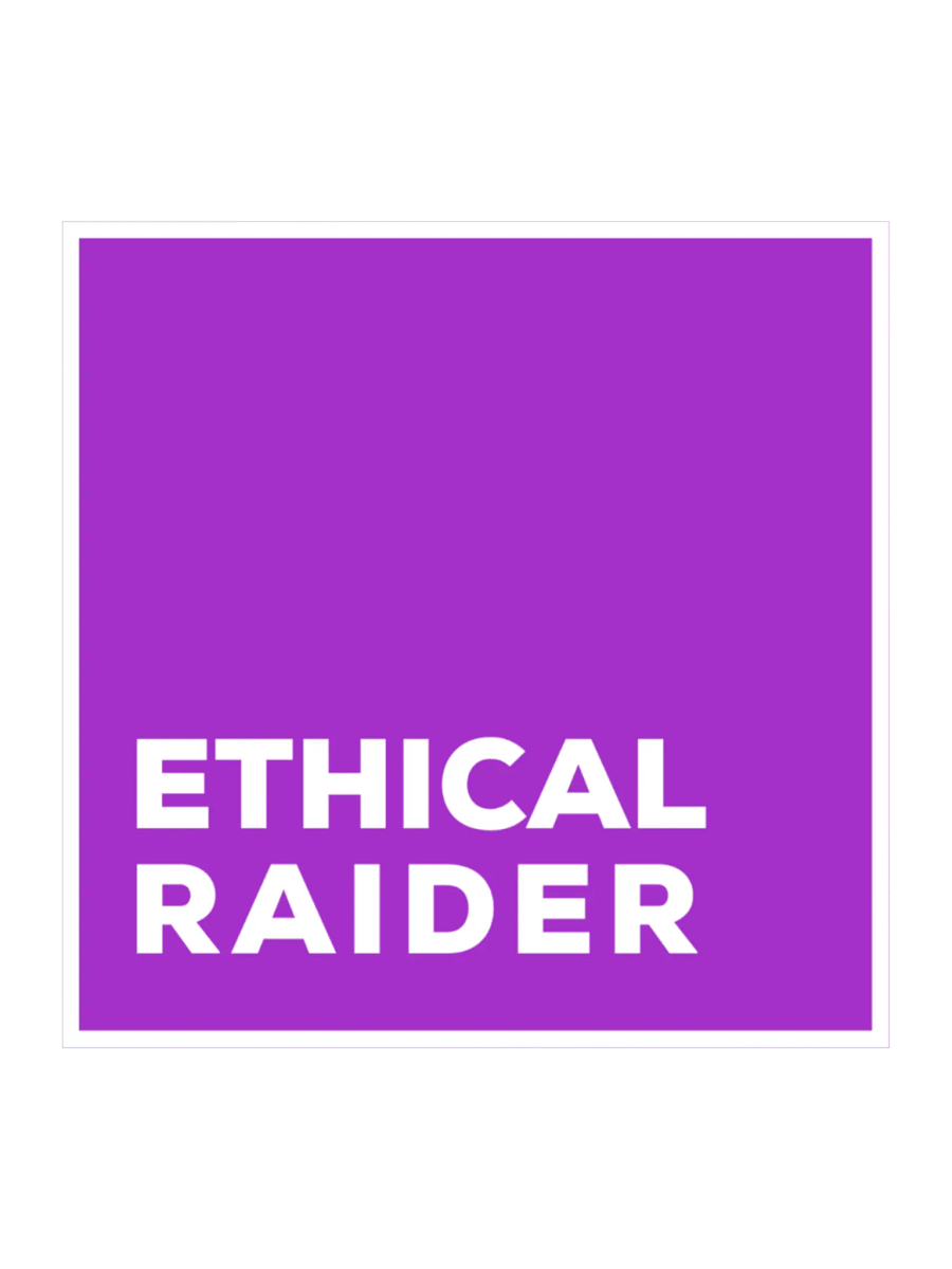 Ethical Raider (DH Purple) Sticker product image (2)