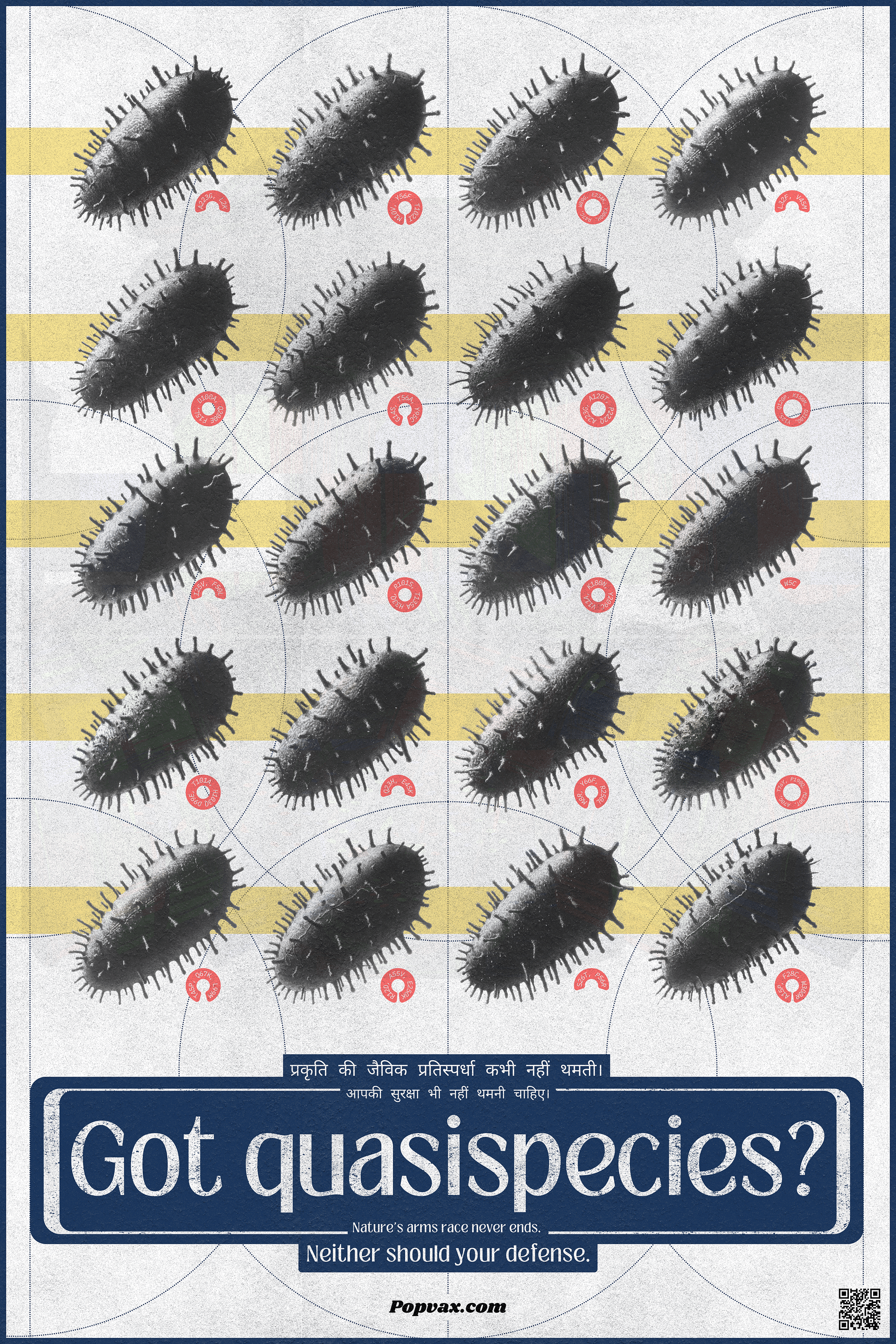 got quasispecies? (popvax) product image (1)