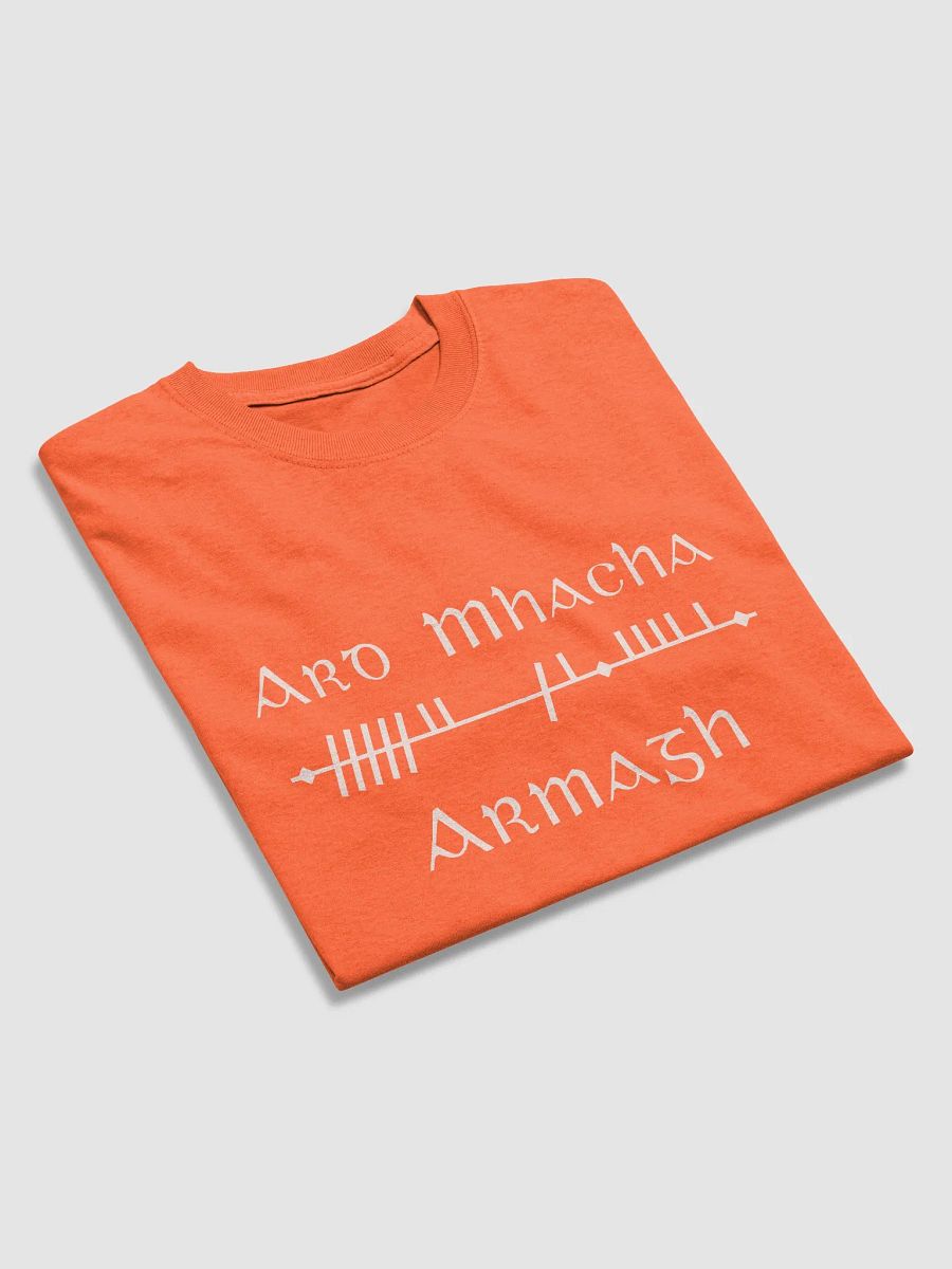 Armagh/Ard Mhacha Scholastic style Ogham Tangerine printed T-shirt product image (3)