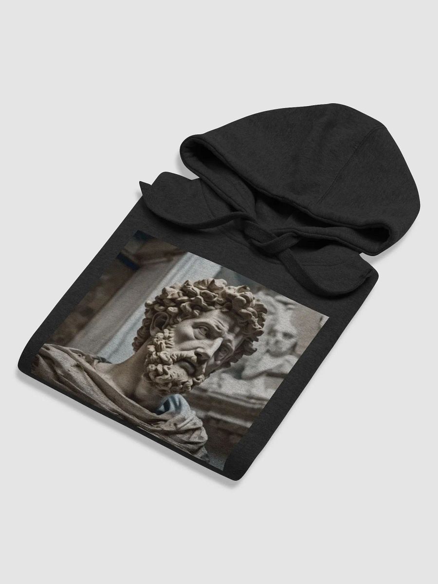Canal @StoicStoryQuotes product image (6)