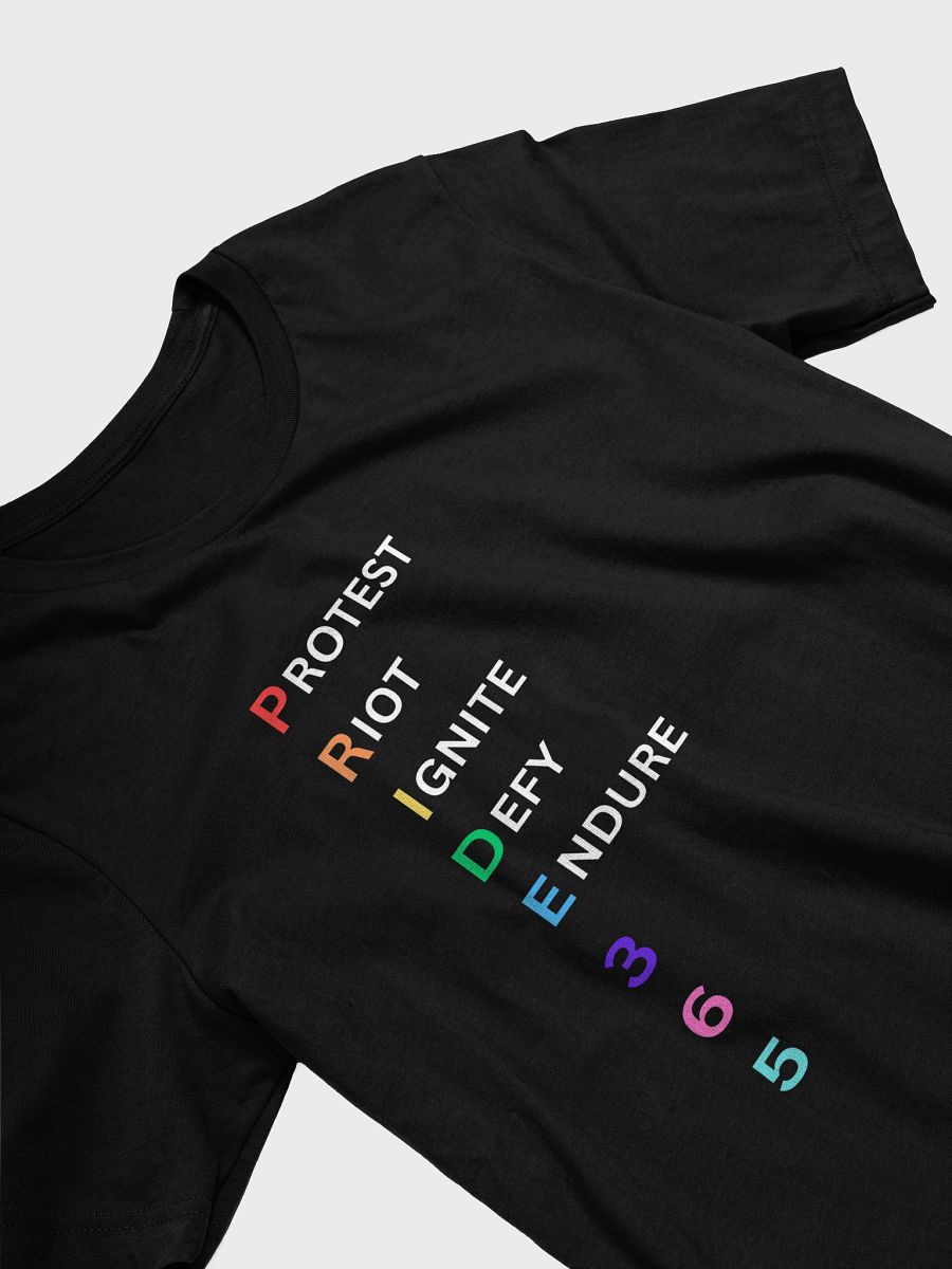 Pride 365 (protest, riot, ignite, endure) Tee product image (15)