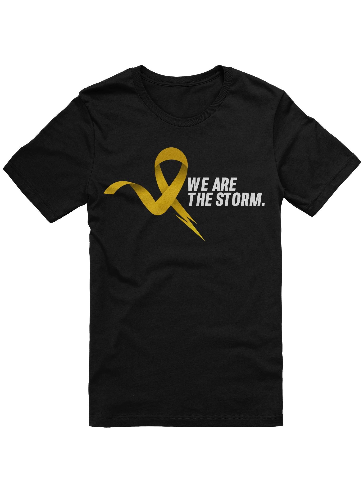 We are the Storm product image (1)
