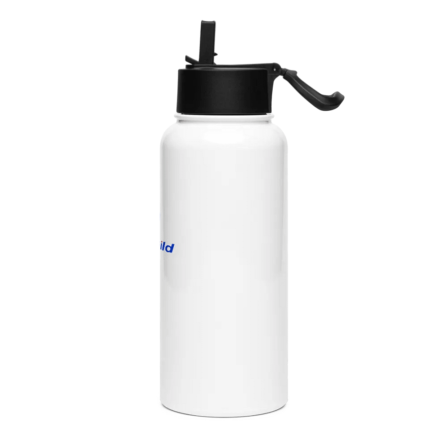 Stainless Steel Water Bottle with a Straw Lid (1) product image (3)