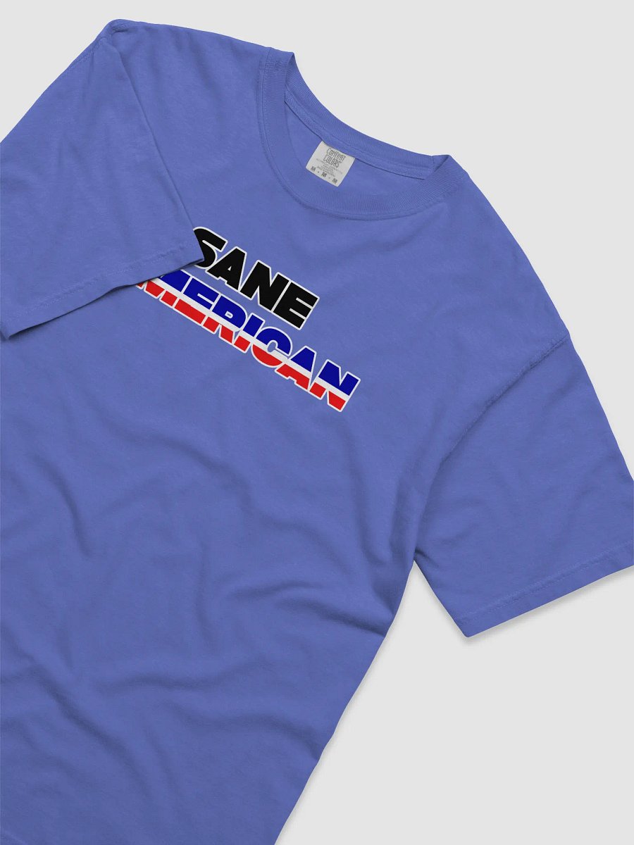 Sane American T-Shirt product image (22)