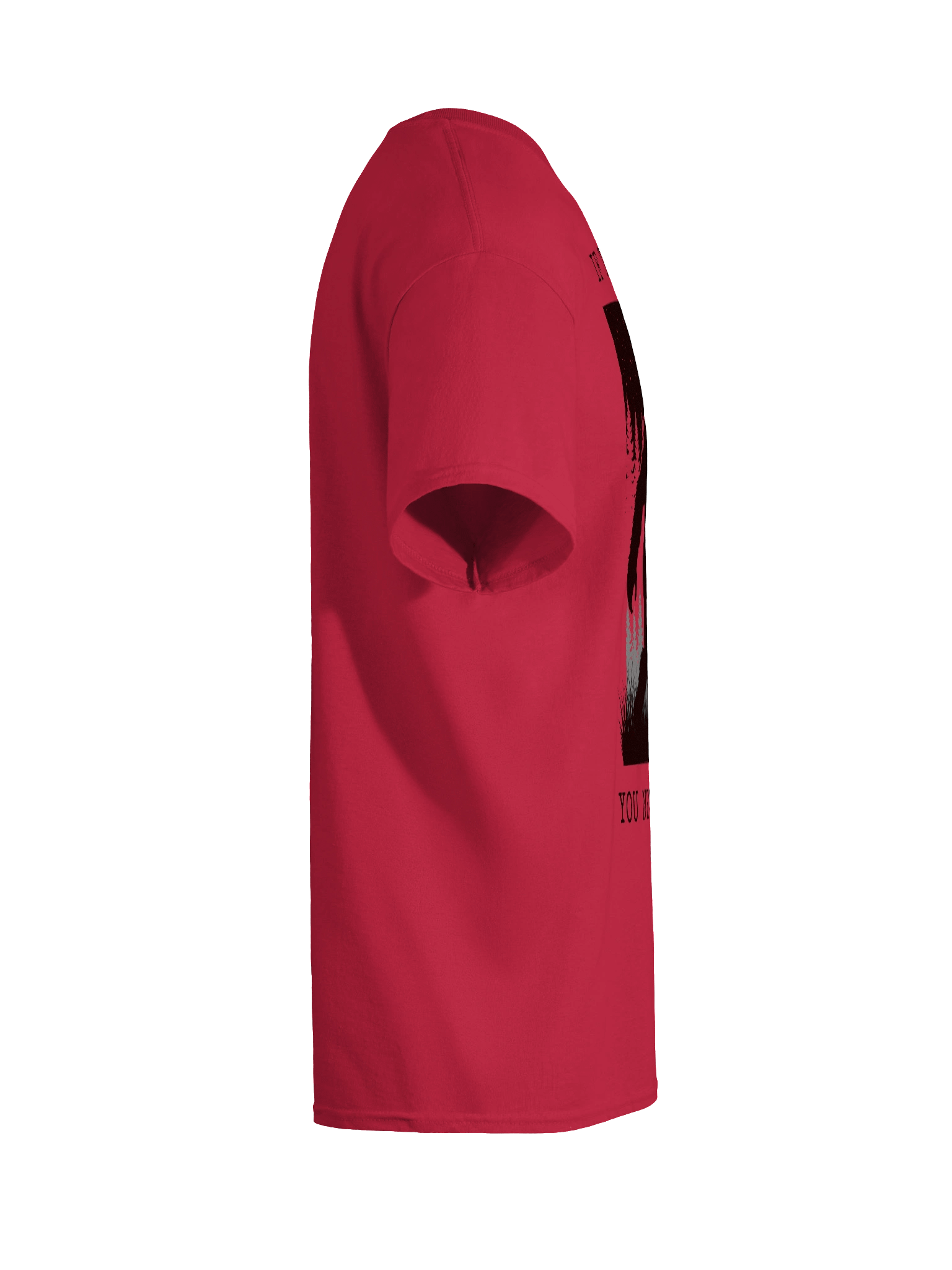 If They Ask You Never Saw Me - Tee product image (16)