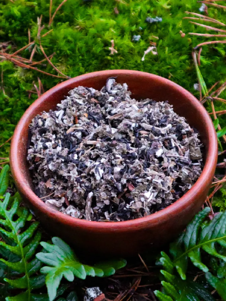 Lady of the Forest Tea (B) product image (1)