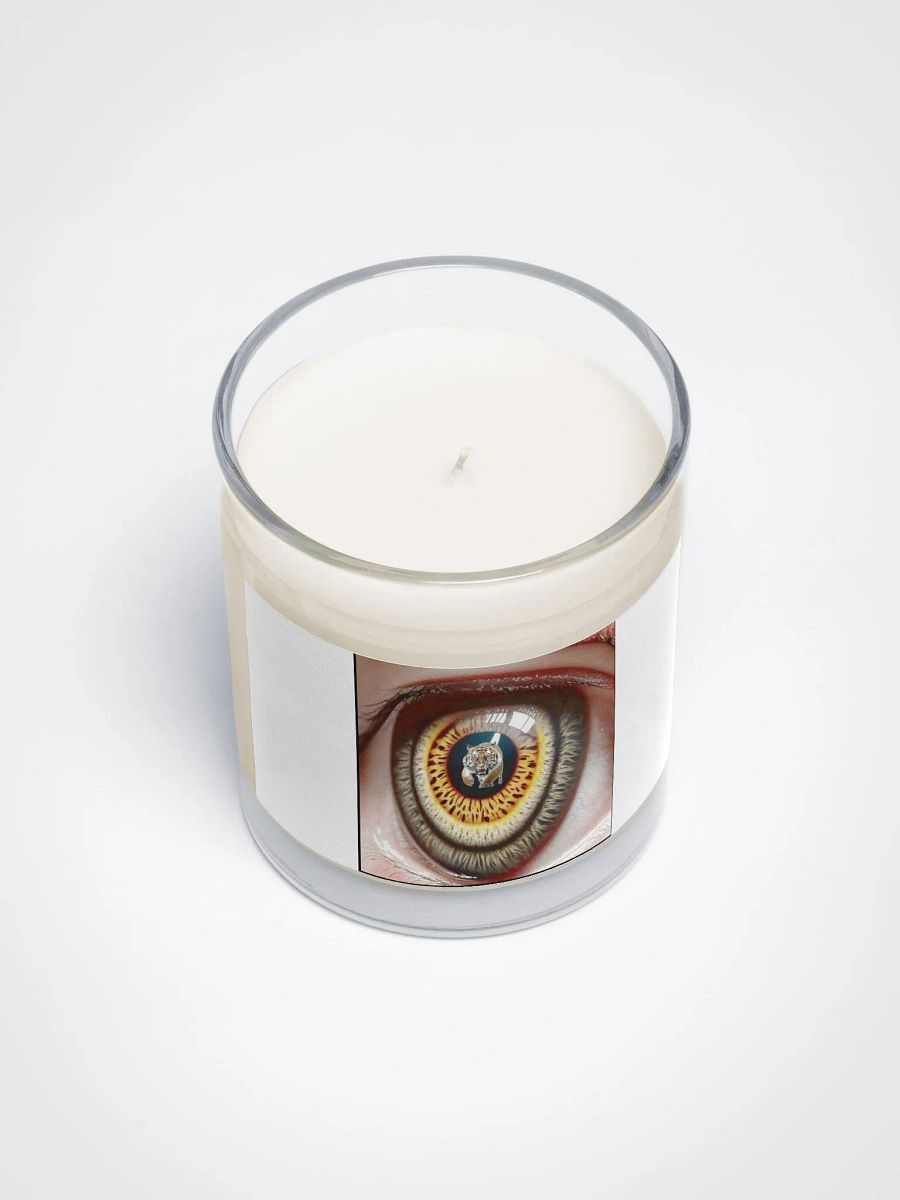 The Eye of the Tiger product image (3)