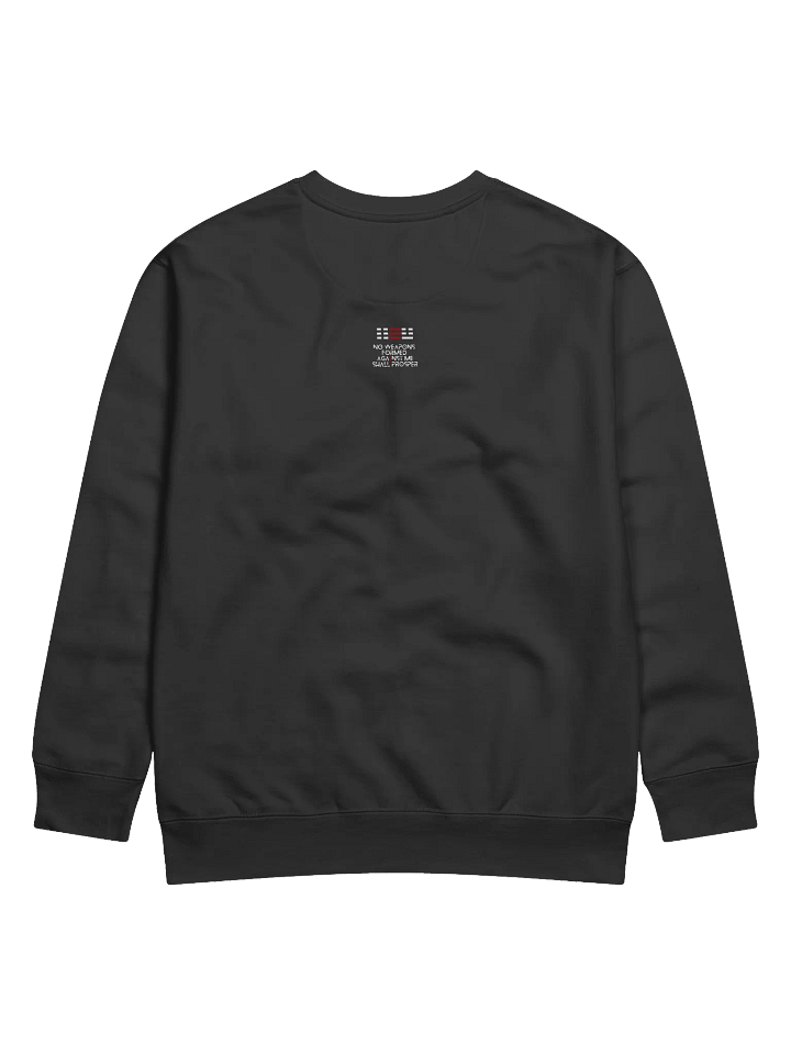 Weapons of Mass Creation Premium Sweatshirt product image (2)