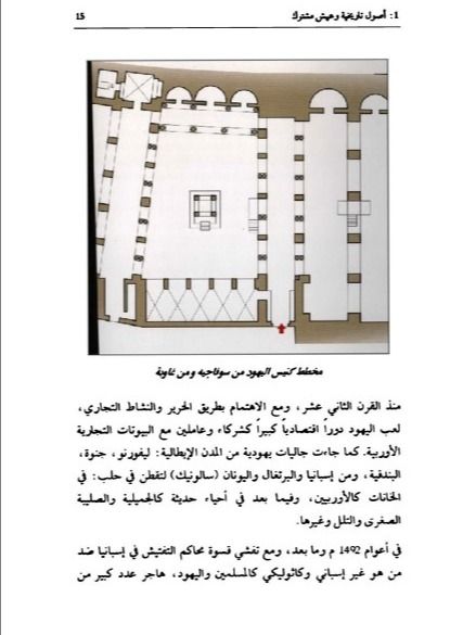 تاريخ اليهود في حلب - محمد حريتاني product image (3)