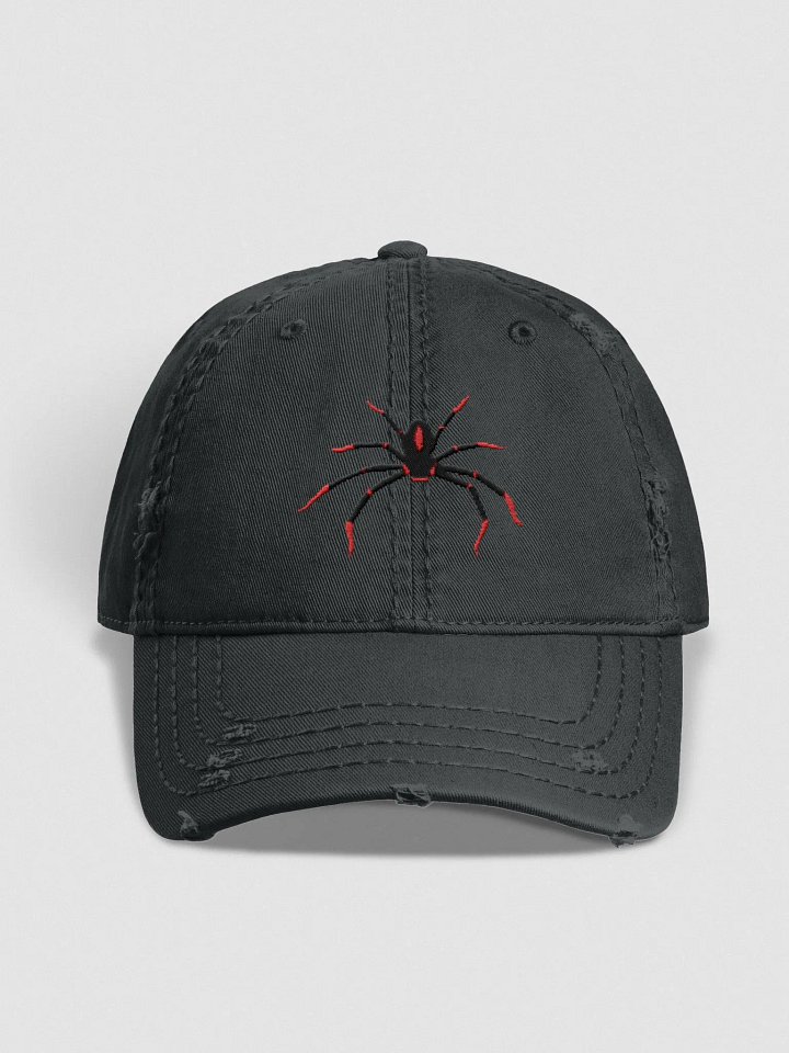 Spider Cap product image (1)