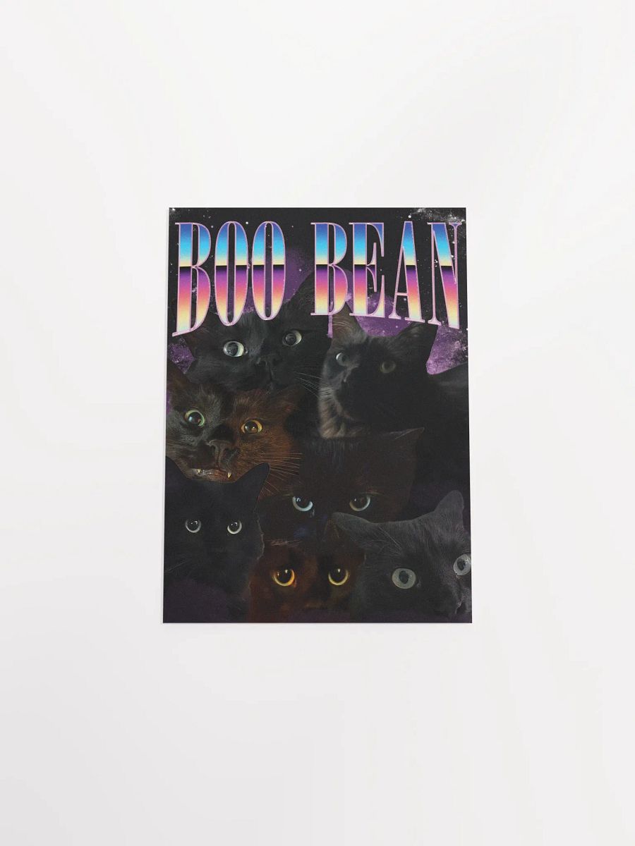 Many Faces of Boo - Poster Edition product image (20)
