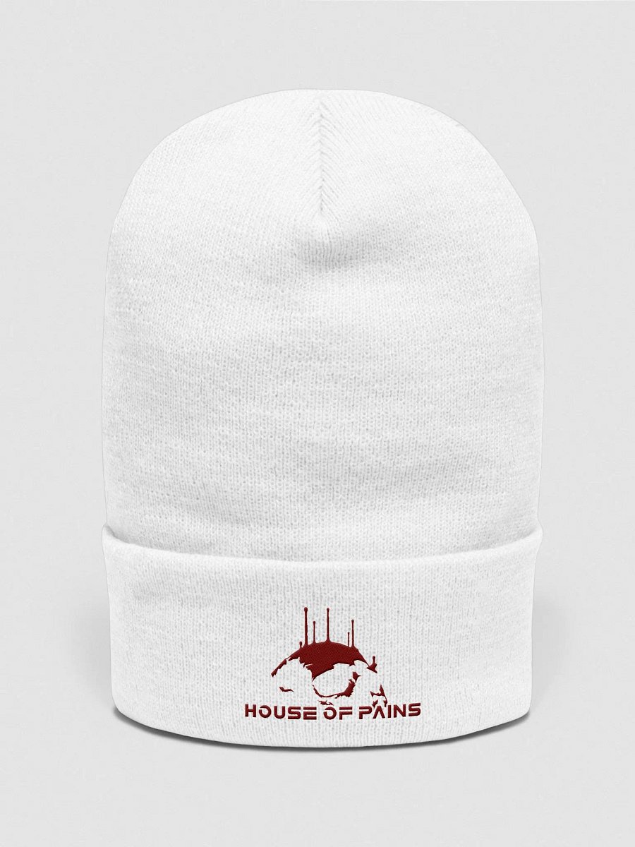 House of Pains Beanie product image (2)