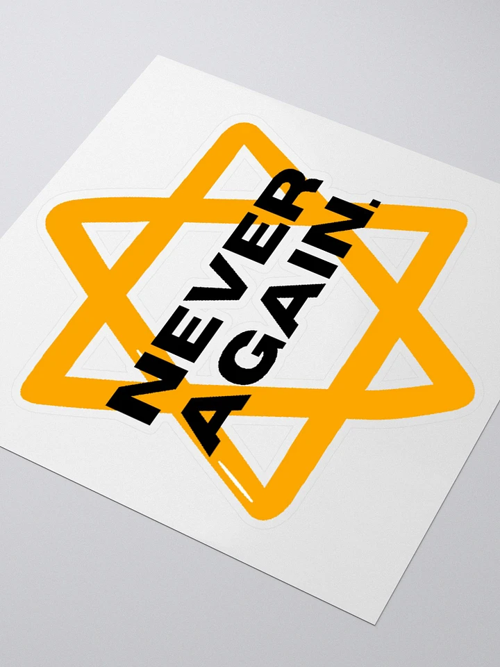 Never Again Sticker product image (1)