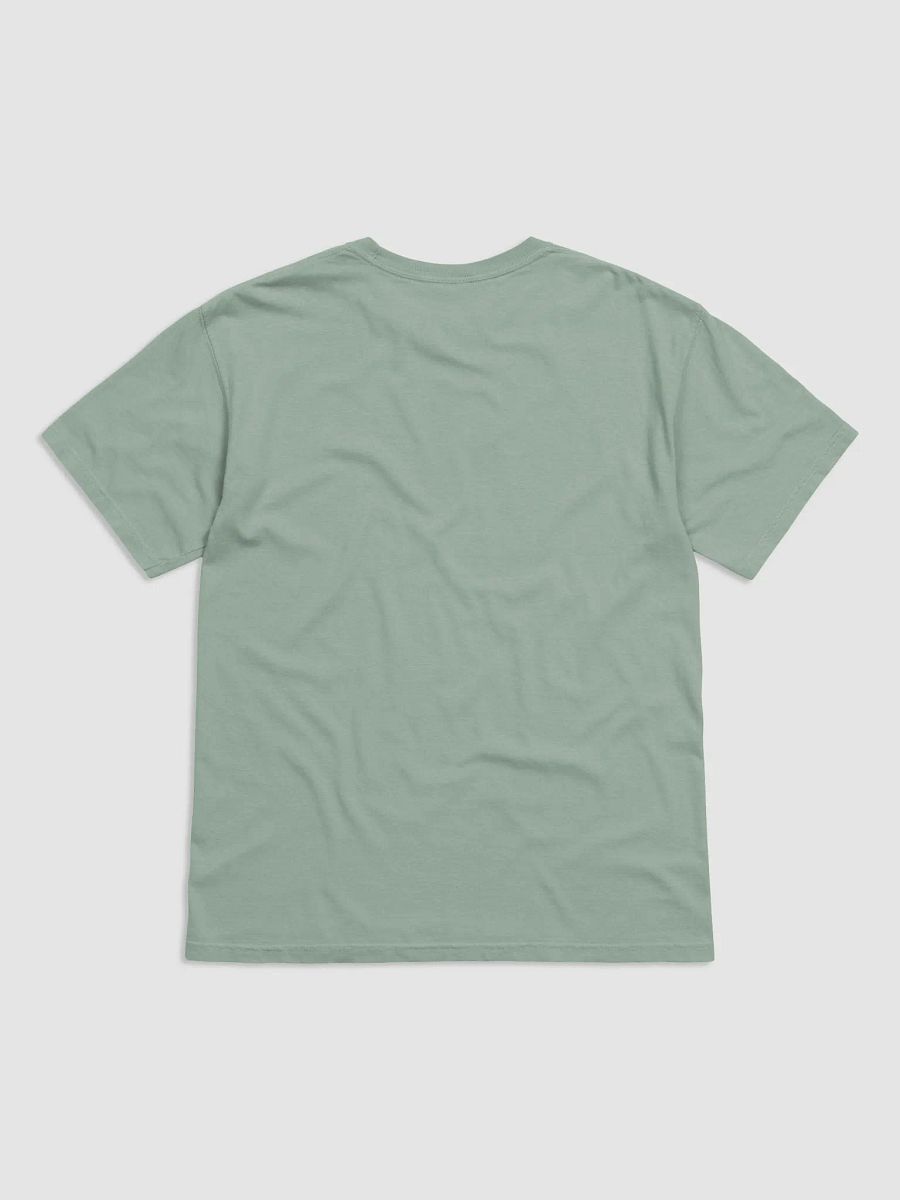 No blue states *smaller print* T-Shirt product image (2)
