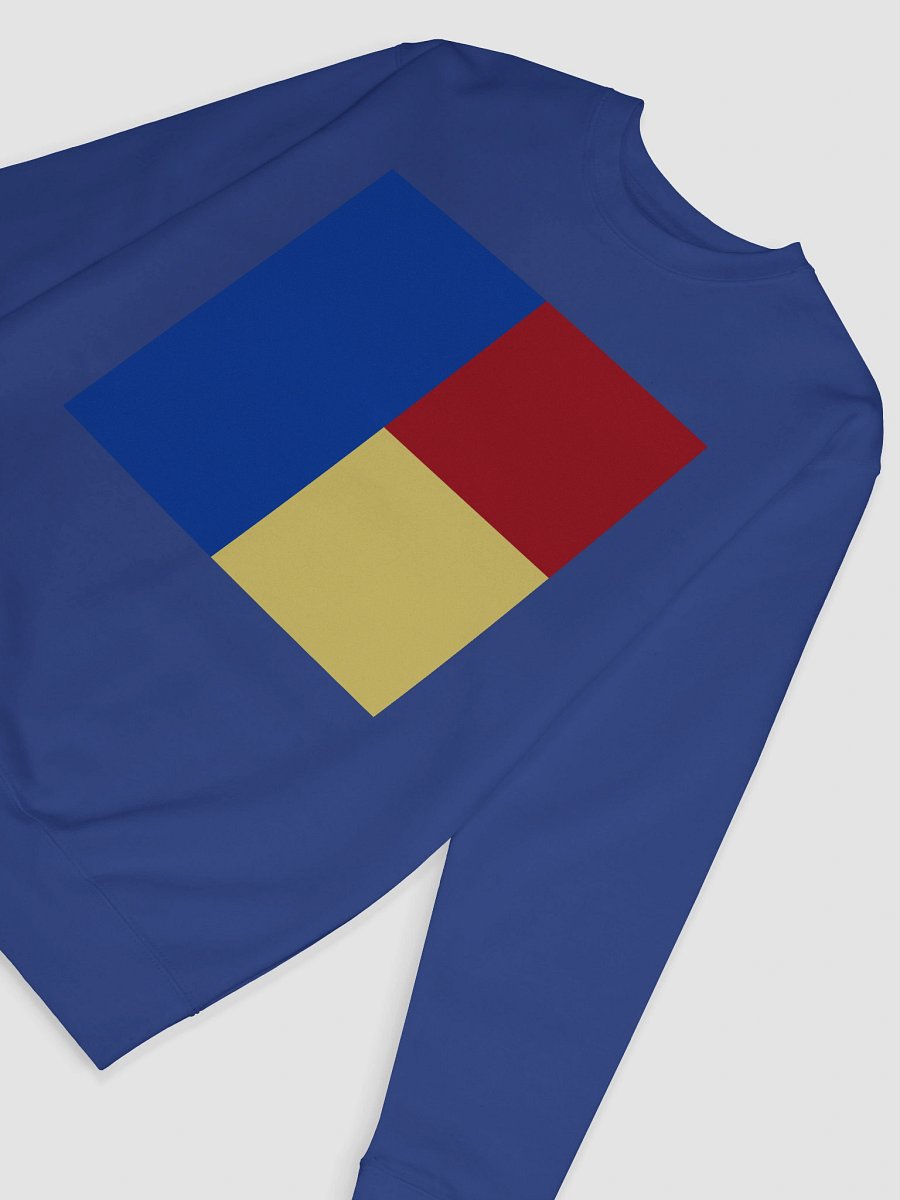 The Style: Colorblock Cotton Sweatshirt product image (11)