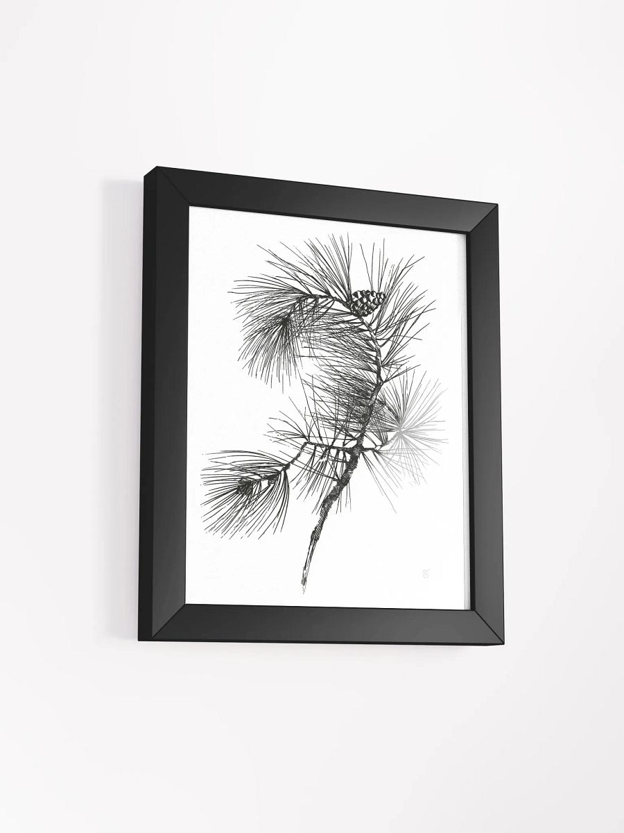 Pine Branch Serenity Framed Poster - Pine Branch product image (18)