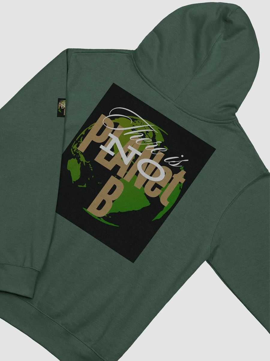 There is No PLANet B Midweight Hoodie – Wear the Message, Save the Earth product image (30)