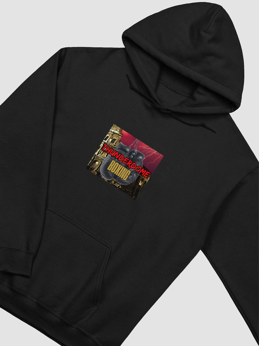 ThunderDome Hooded Sweatshirt !! product image (1)