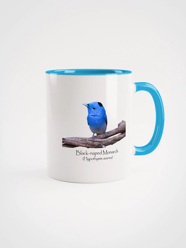 Black-naped Monarch. mug product image (1)