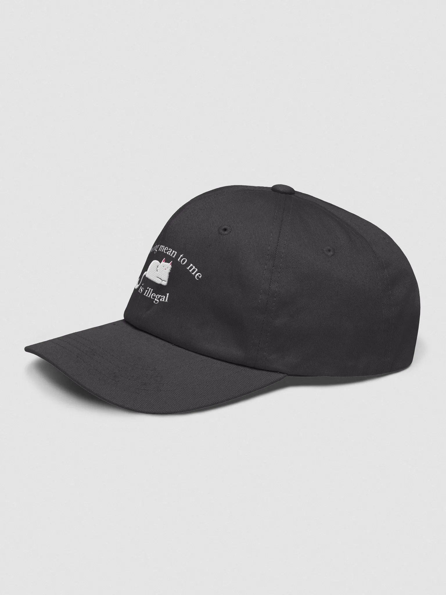 Being mean to me is illegal hat product image (3)