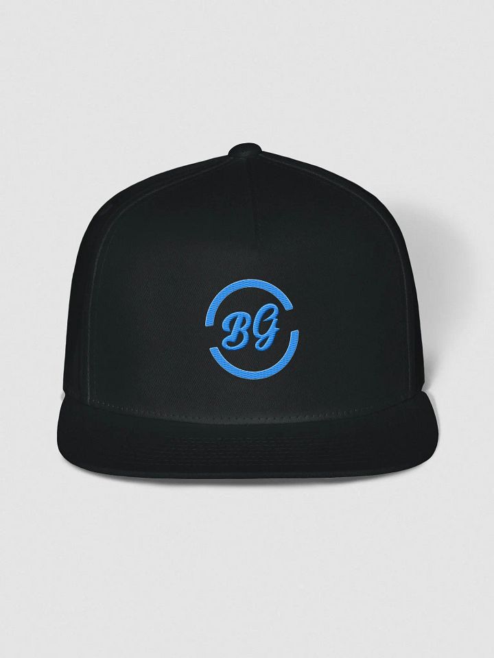 Logo Hat product image (4)