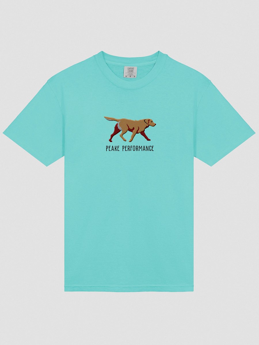 Peake Performance T-Shirt(Embroidered) of a Chesapeake Bay Retriever(Tan) product image (33)
