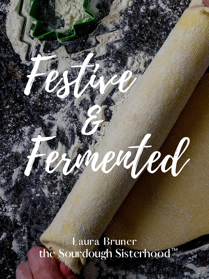 Festive & Fermented Recipe Book product image (1)