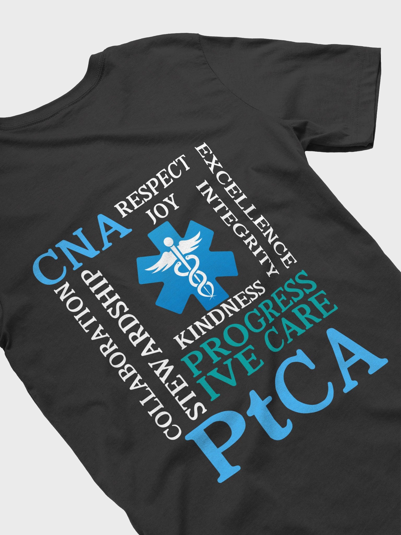 PtCA Values product image (34)