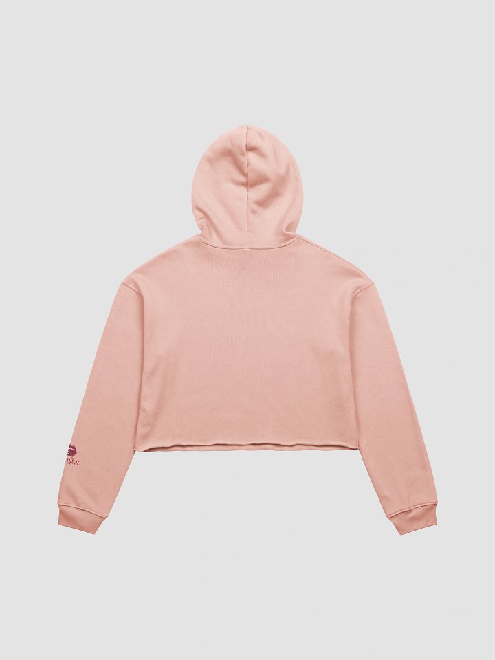Ghouls Just Wanna Have Fun Cropped Hoodie product image (5)