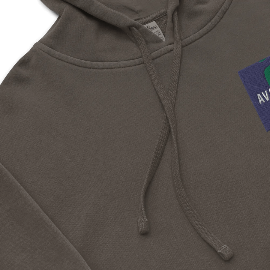 Avanya Black Embroidered Hoodie product image (3)
