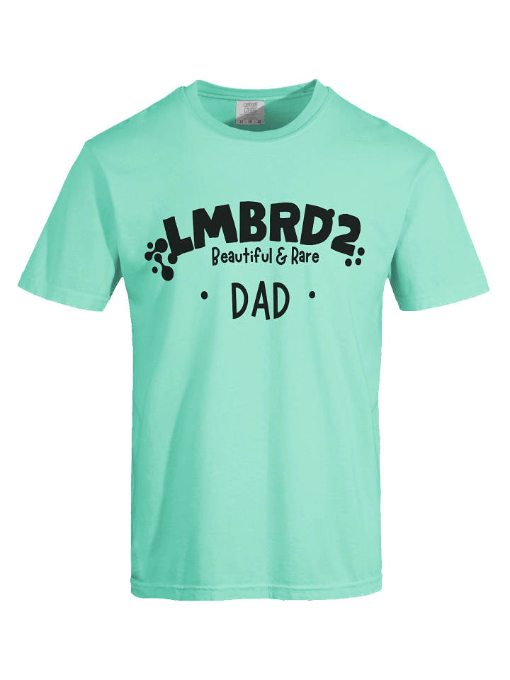 LMBRD2 Comfort T-Shirt -DAD product image (1)