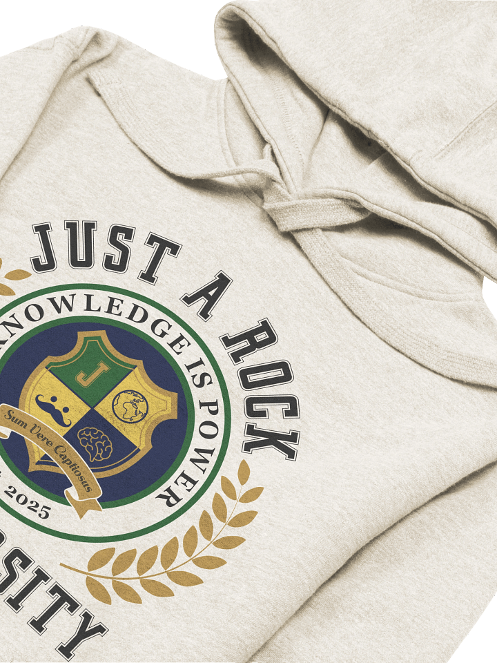 University Hoodie product image (1)