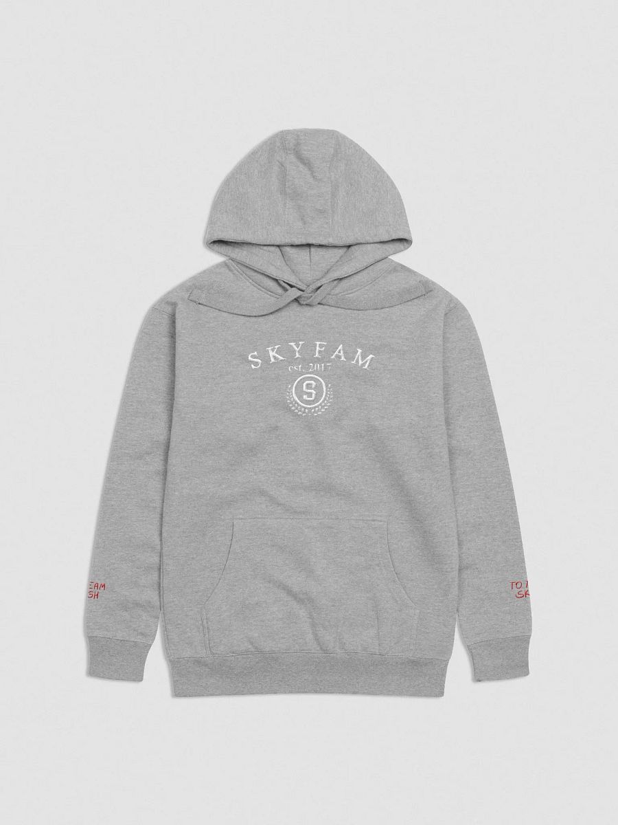 ItsSky signature embroidered hoodie product image (3)