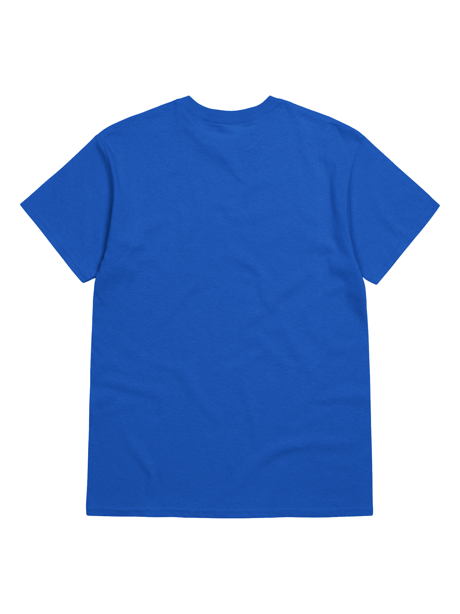 Gecko Tracks T-shirt product image (64)