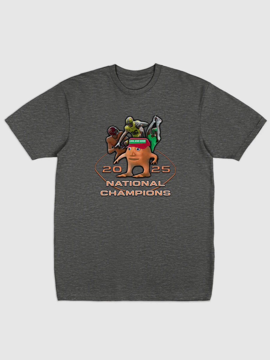 Tardaria 2025 National Champions Cotton Heritage Men's Premium Heavyweight Tee product image (3)