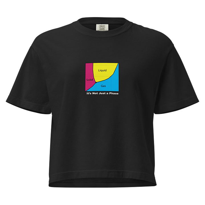 It's Not Just a Phase- Pan Shirt product image (1)